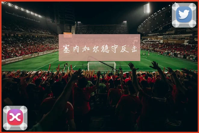 塞内加尔稳守反击