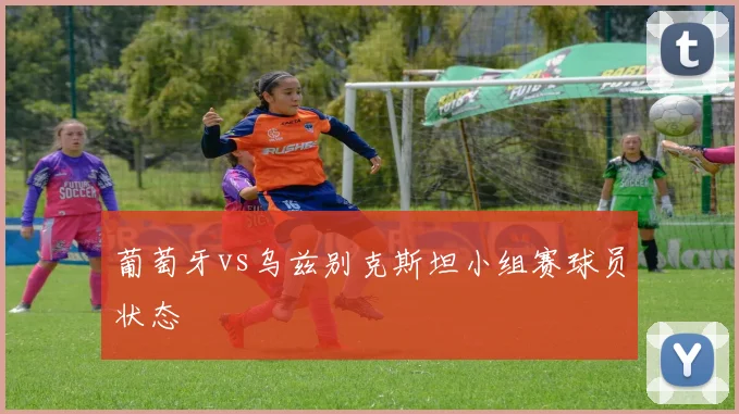 葡萄牙vs乌兹别克斯坦小组赛球员状态