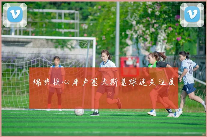 瑞典核心库卢塞夫斯基球迷关注度