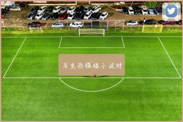 马克西强碰小波特