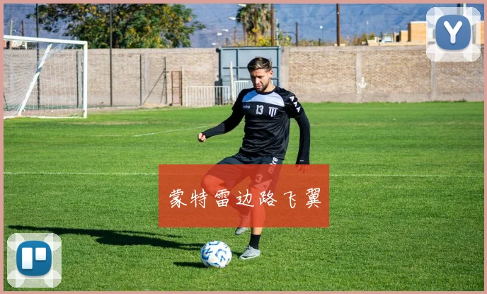 蒙特雷边路飞翼