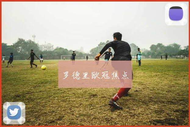 罗德里欧冠焦点