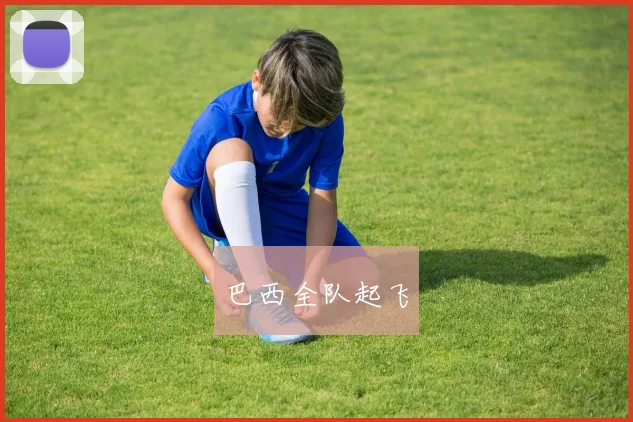 巴西全队起飞