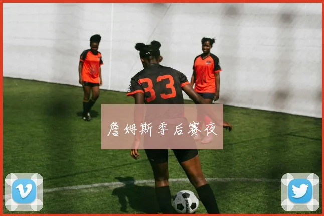 詹姆斯季后赛夜