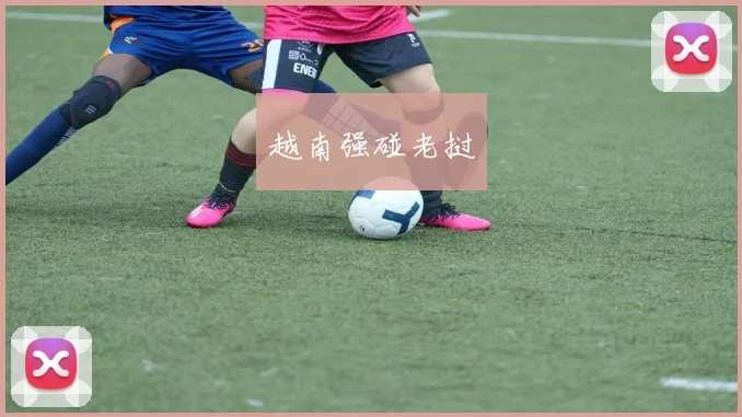越南强碰老挝