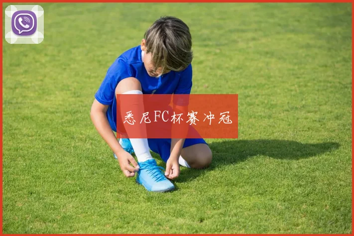 悉尼FC杯赛冲冠