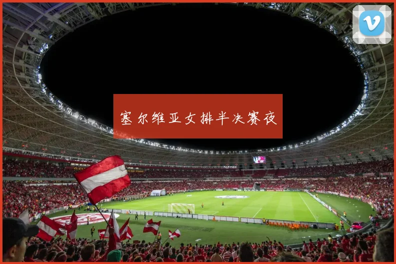 塞尔维亚女排半决赛夜