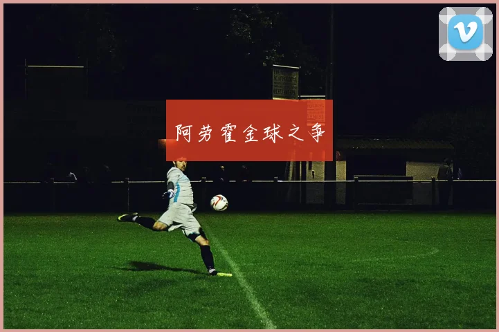 阿劳霍金球之争