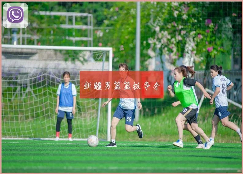 新疆男篮篮板争夺