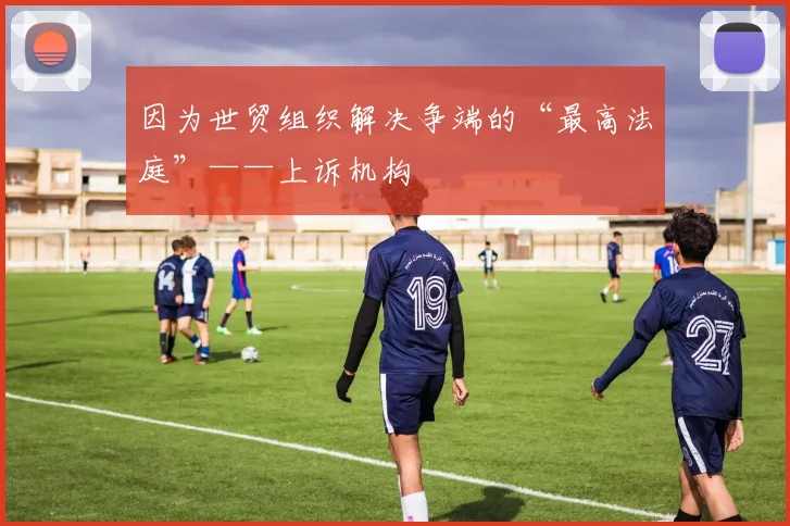 因为世贸组织解决争端的“最高法庭”——上诉机构
