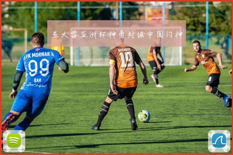 王大雷亚洲杯神勇封堵中国门神
