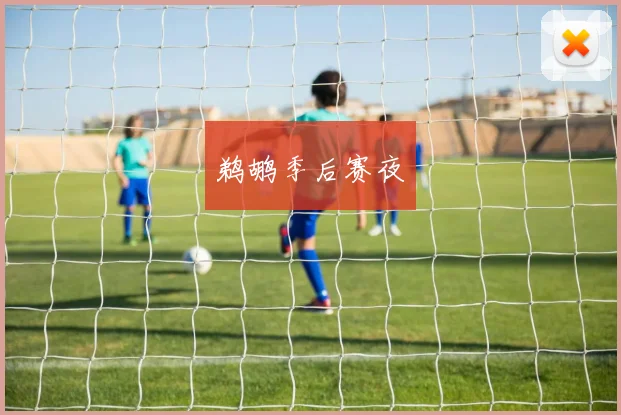 鹈鹕季后赛夜