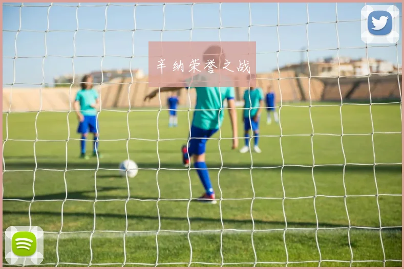 辛纳荣誉之战