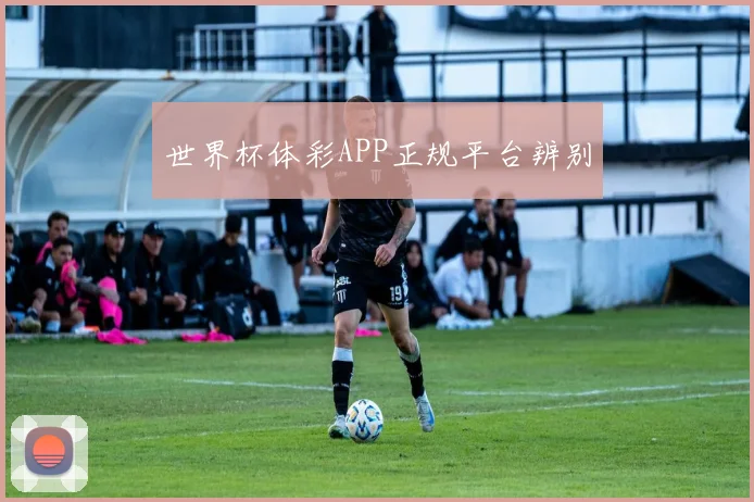 世界杯体彩APP正规平台辨别