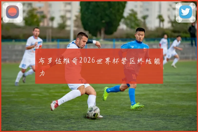 布罗佐维奇2026世界杯禁区终结能力
