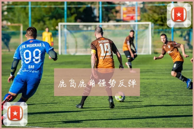 鹿岛鹿角强势反弹