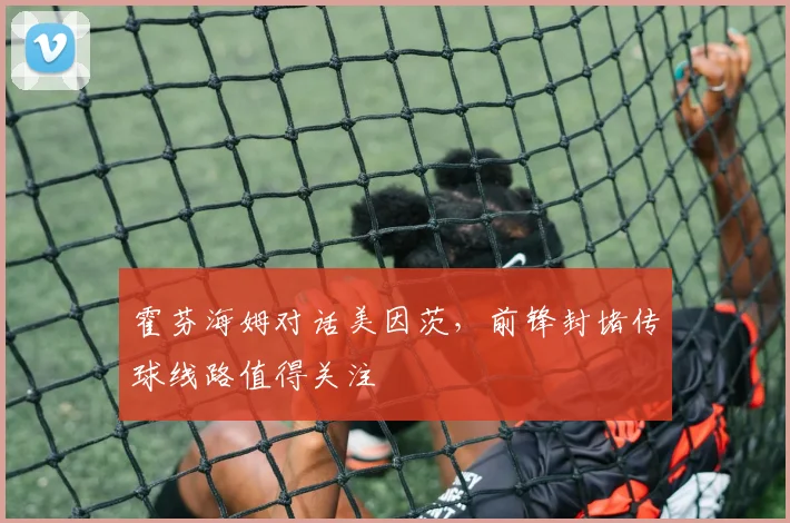 霍芬海姆对话美因茨,前锋封堵传球线路值得关注