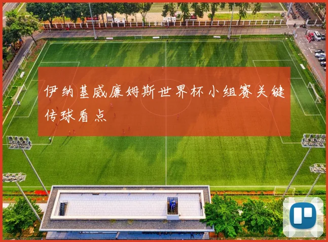 伊纳基威廉姆斯世界杯小组赛关键传球看点