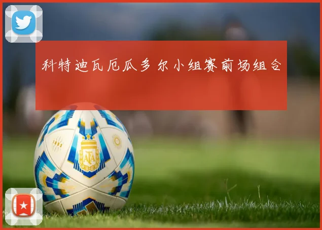 科特迪瓦厄瓜多尔小组赛前场组合