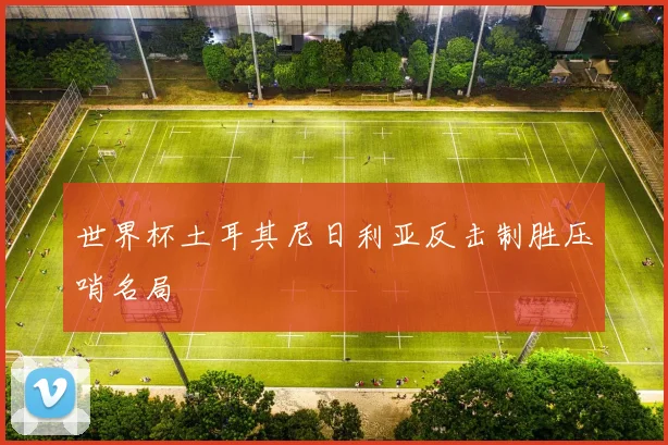世界杯土耳其尼日利亚反击制胜压哨名局