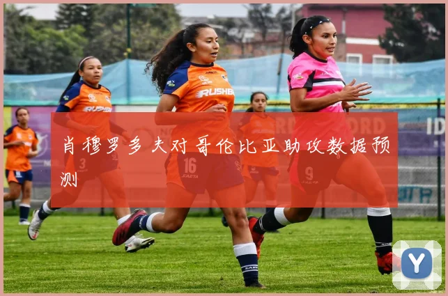 肖穆罗多夫对哥伦比亚助攻数据预测