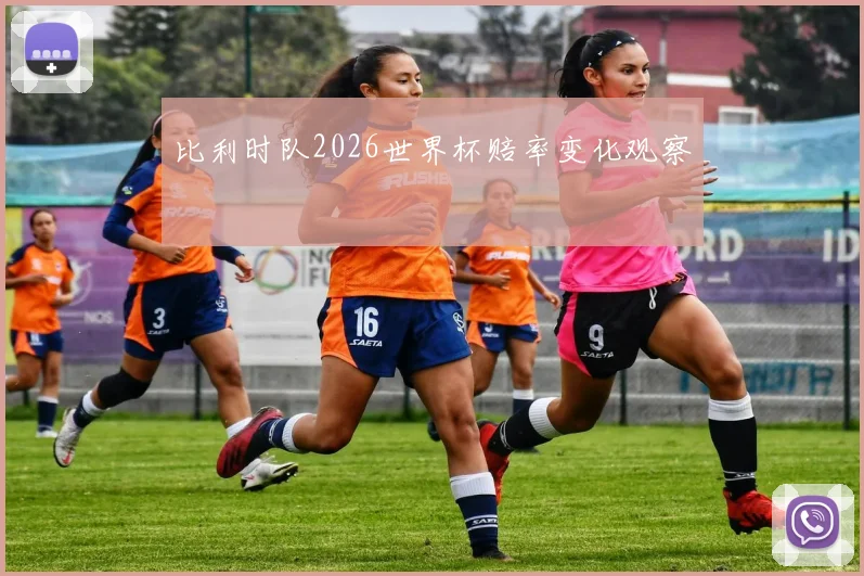 比利时队2026世界杯赔率变化观察