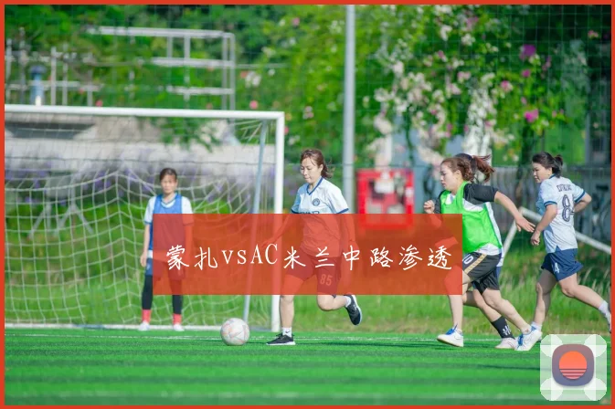 蒙扎vsAC米兰中路渗透