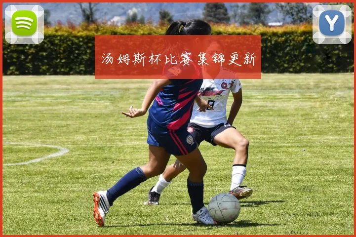 汤姆斯杯比赛集锦更新